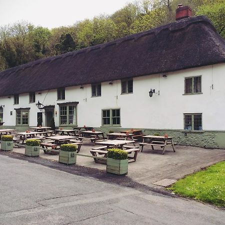 Hambro Arms Hotel Milton Abbas Ngoại thất bức ảnh