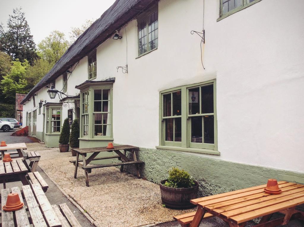 Hambro Arms Hotel Milton Abbas Ngoại thất bức ảnh