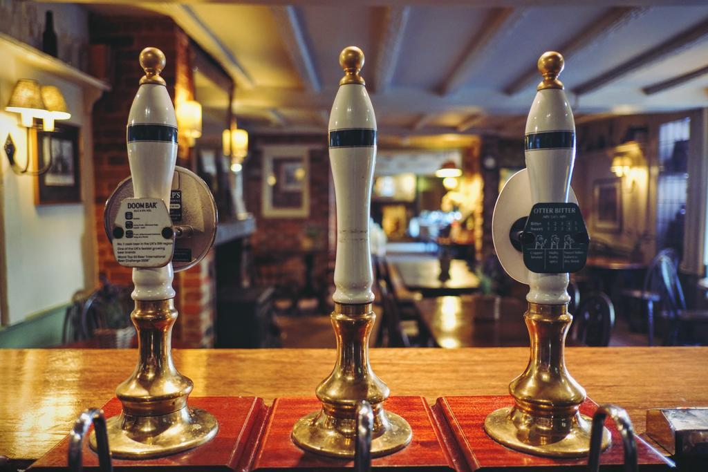 Hambro Arms Hotel Milton Abbas Ngoại thất bức ảnh