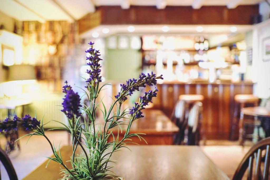 Hambro Arms Hotel Milton Abbas Ngoại thất bức ảnh