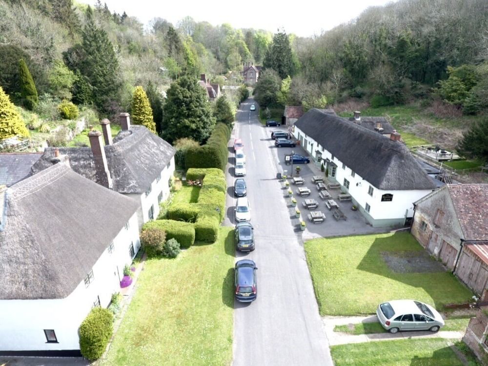 Hambro Arms Hotel Milton Abbas Ngoại thất bức ảnh