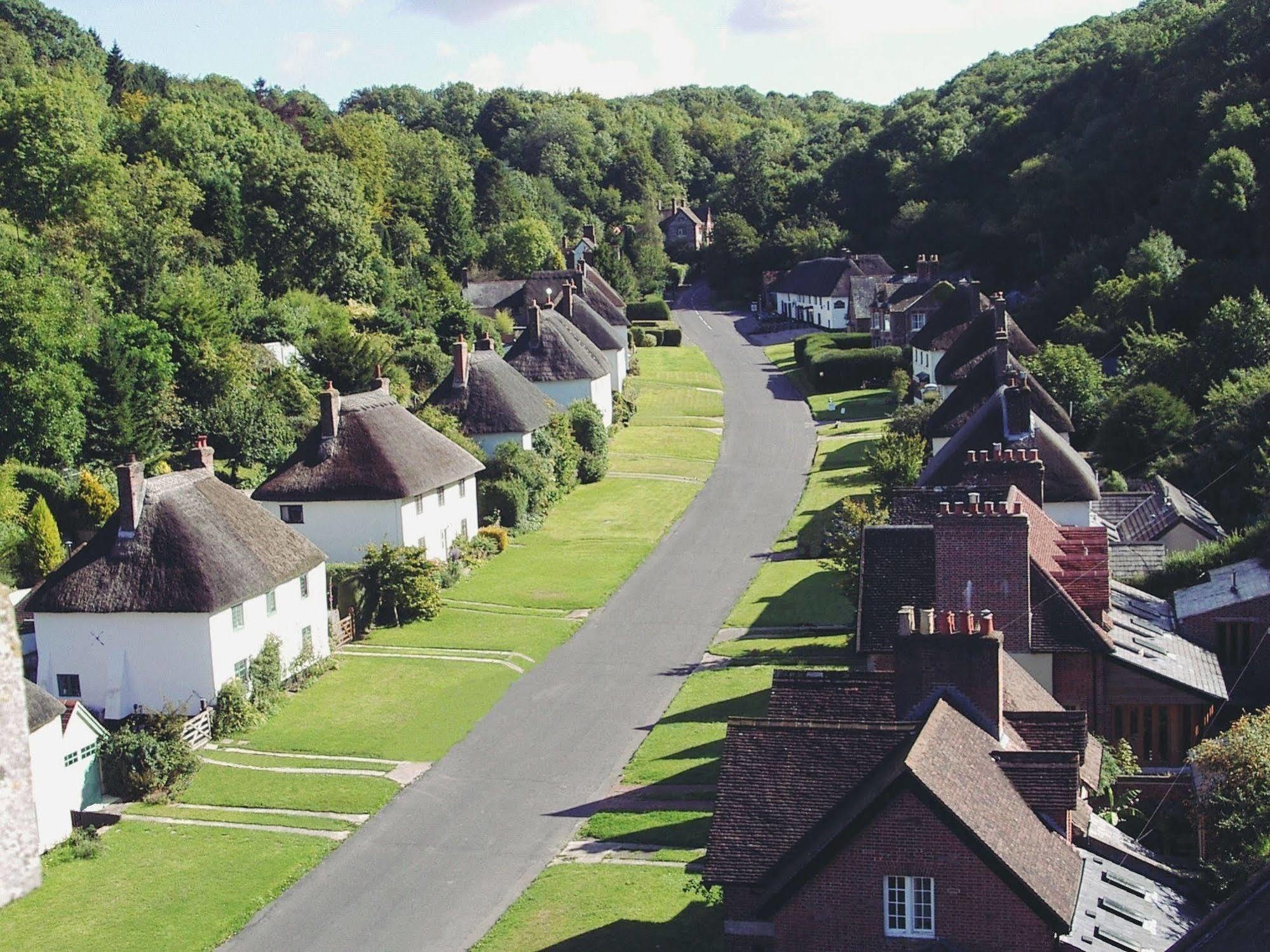 Hambro Arms Hotel Milton Abbas Ngoại thất bức ảnh