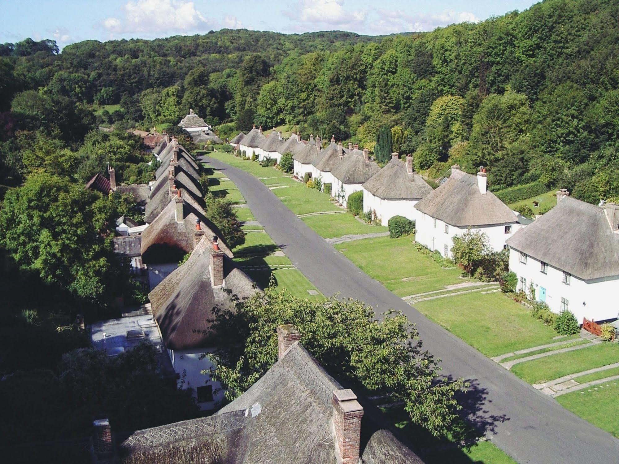 Hambro Arms Hotel Milton Abbas Ngoại thất bức ảnh